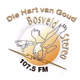Bosveld Stereo logo