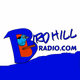 Birdhill Radio logo