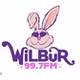 99.7 WiLBuR Radio - W259DM logo