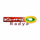 Kurd1 Radyo logo