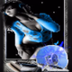 Dancefox24 logo