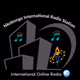 Nkobongo International Radio Station logo