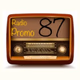 Radio Promo 87 logo