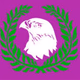 Falcon FM logo
