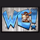 Wild Country logo
