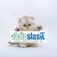 Radio Śląsk logo