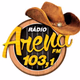 Arena FM 103 logo
