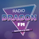 Radio Dragon logo