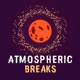 RadioSpinner - Atmospheric Breaks logo