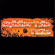 Summer Time Radio logo