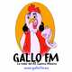 Gallo FM logo