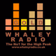 Whaley Radio - Gold logo