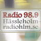 Radio Hassleholm logo