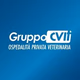 Radio GruppoCVIT logo