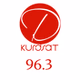 Dengi Kurdsat logo