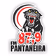 Pantaneira FM logo