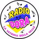 Radio Dora logo