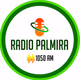 Radio Palmira logo