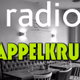 Radio Pappelkrug logo