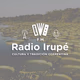 FM Radio Irupé logo