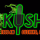 KUSH Radio - KUSH logo