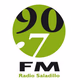 Radio Saladillo logo