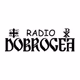 Radio Dobrogea 99.7 FM logo