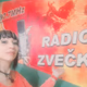 Radio Zvecka 97.7 logo