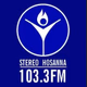 Stereo Hosanna 103.3 logo