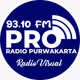 PRO 93.10 FM logo