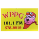 Power Pig 101.1 FM - WPPG logo