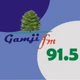 Gamji Fm 91.5 logo