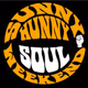 Sunny Hunny Radio logo