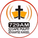 Cape Pulpit / Kaapse Kansel logo