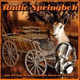 Radio Springbok Germany logo